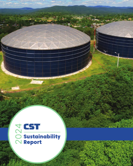 sustainability report image